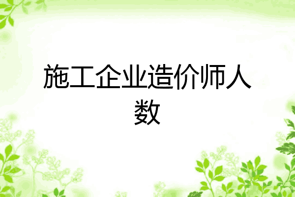 施工企业造价师人数
