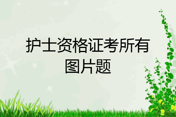 护士资格证考所有图片题