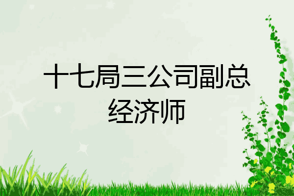 十七局三公司副总经济师
