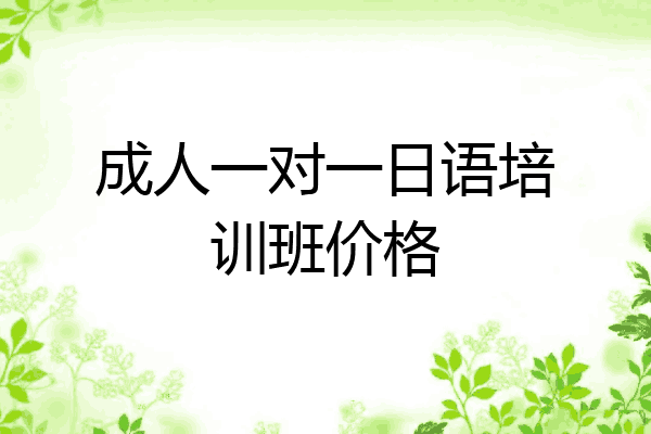 成人一对一日语培训班价格