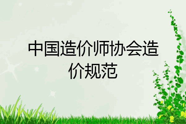 中国造价师协会造价规范
