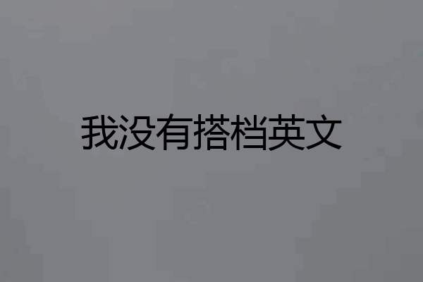 我没有搭档英文