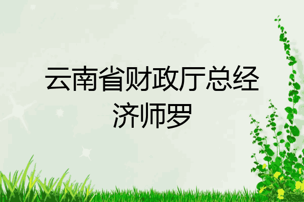 云南省财政厅总经济师罗