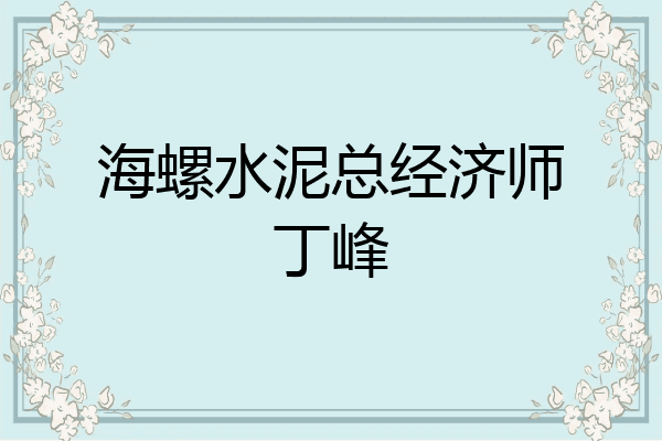 海螺水泥总经济师丁峰