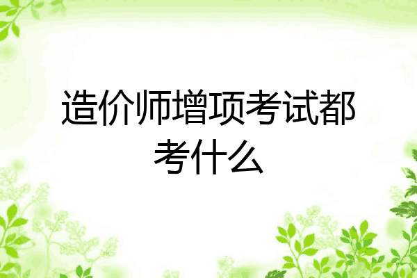 造价师增项考试都考什么