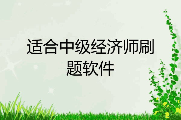 适合中级经济师刷题软件