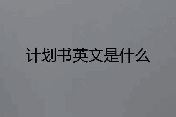 计划书英文是什么