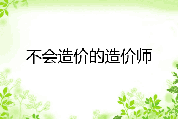 不会造价的造价师