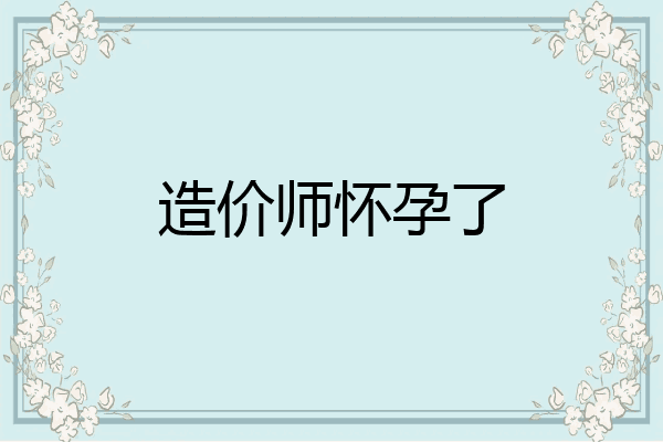造价师怀孕了