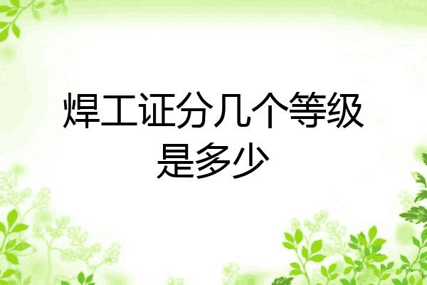 焊工证分几个等级是多少