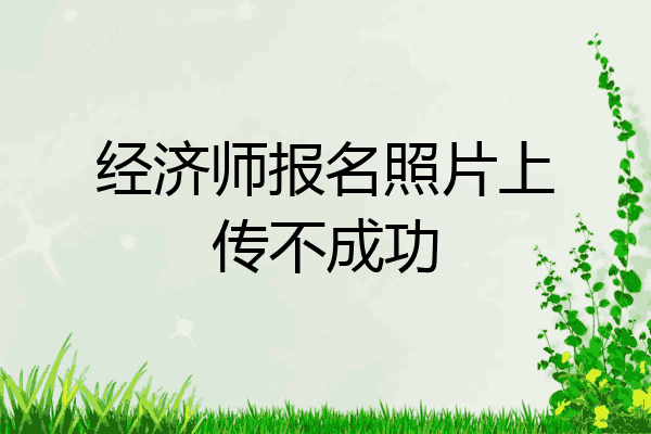 经济师报名照片上传不成功