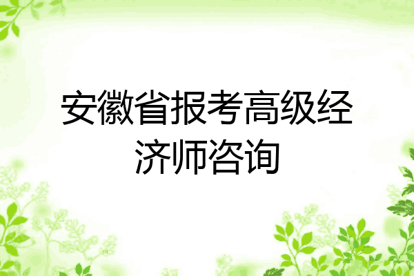 安徽省报考高级经济师咨询