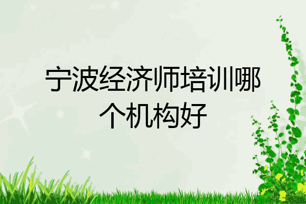 宁波经济师培训哪个机构好