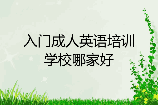 入门成人英语培训学校哪家好