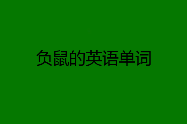 负鼠的英语单词