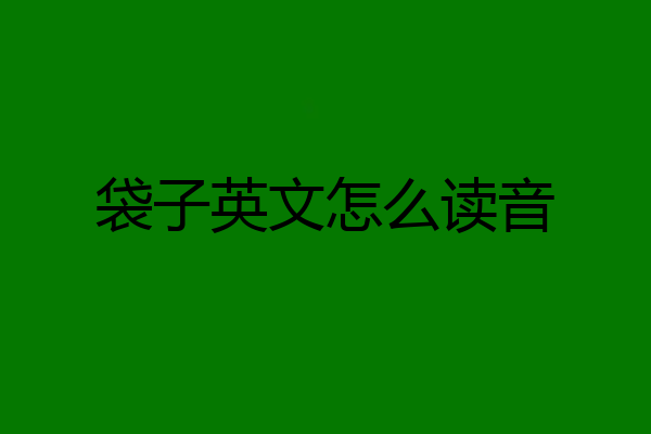 袋子英文怎么读音