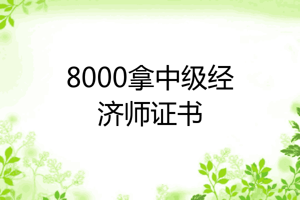 8000拿中级经济师证书