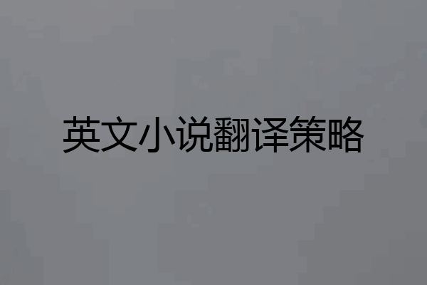 英文小说翻译策略