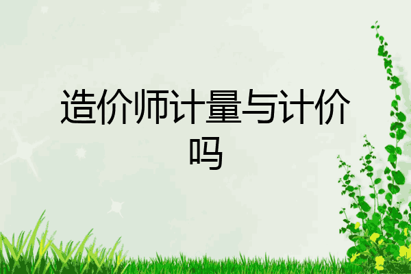 造价师计量与计价吗