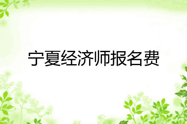 宁夏经济师报名费
