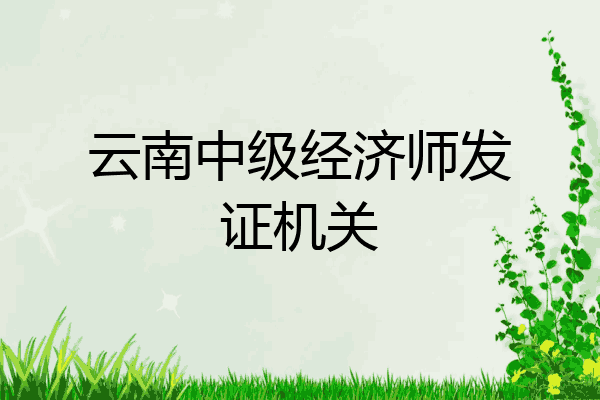 云南中级经济师发证机关