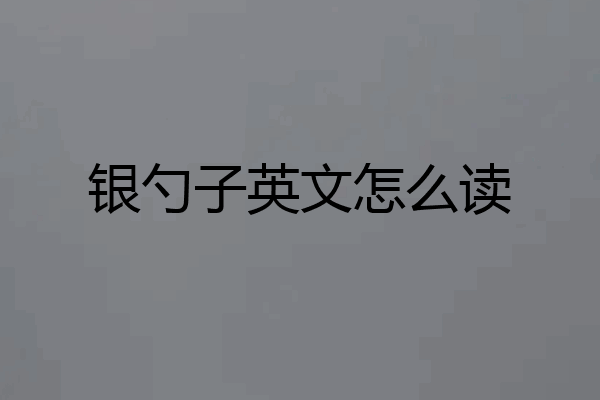 银勺子英文怎么读