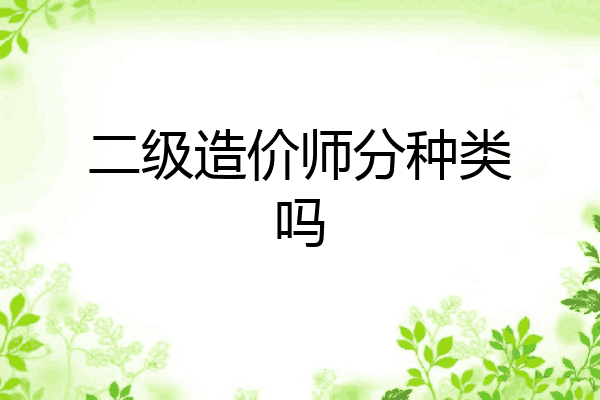 二级造价师分种类吗