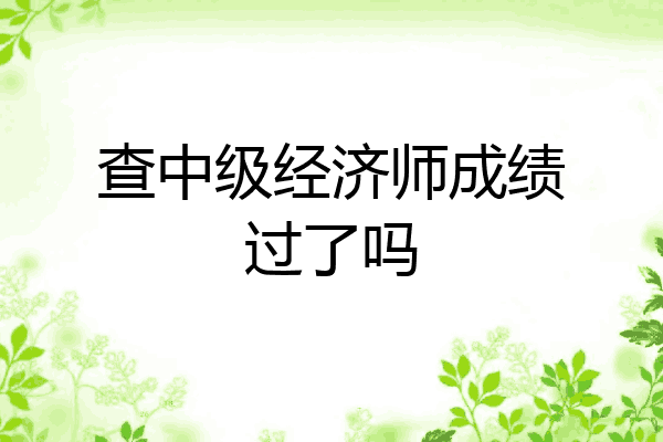 查中级经济师成绩过了吗