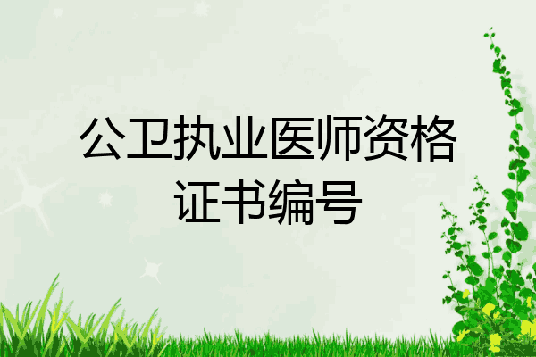 公卫执业医师资格证书编号