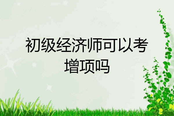 初级经济师可以考增项吗