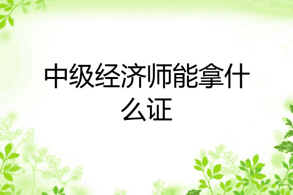 中级经济师能拿什么证