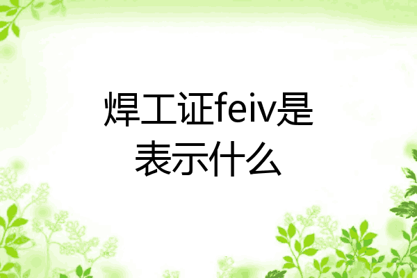 焊工证feiv是表示什么
