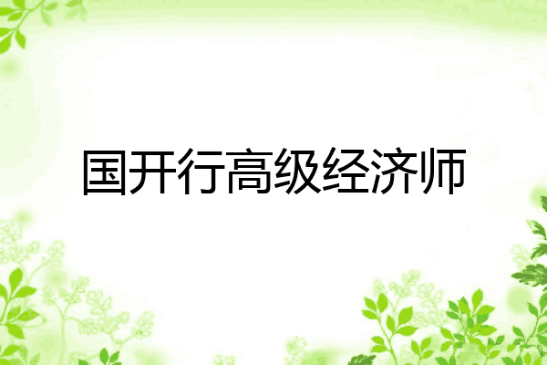 国开行高级经济师
