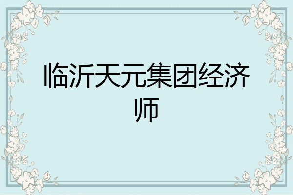 临沂天元集团经济师