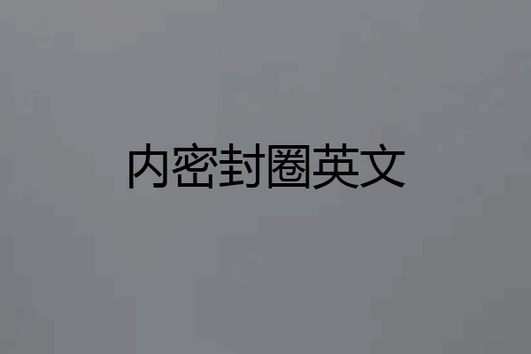 内密封圈英文