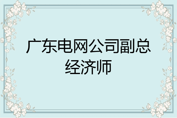 广东电网公司副总经济师