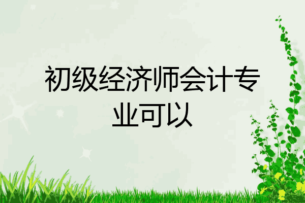 初级经济师会计专业可以