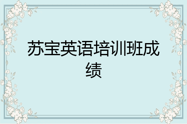 苏宝英语培训班成绩