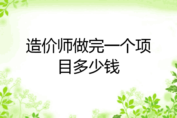 造价师做完一个项目多少钱