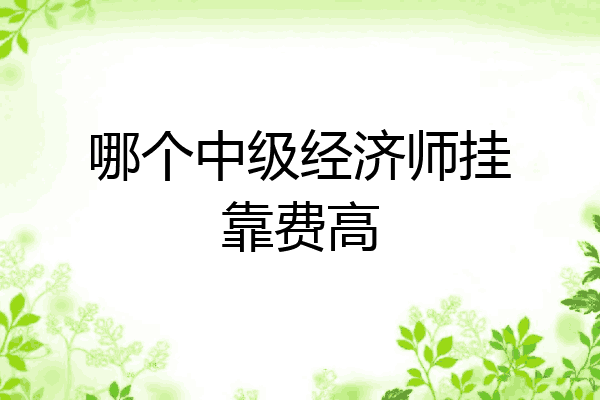 哪个中级经济师挂靠费高