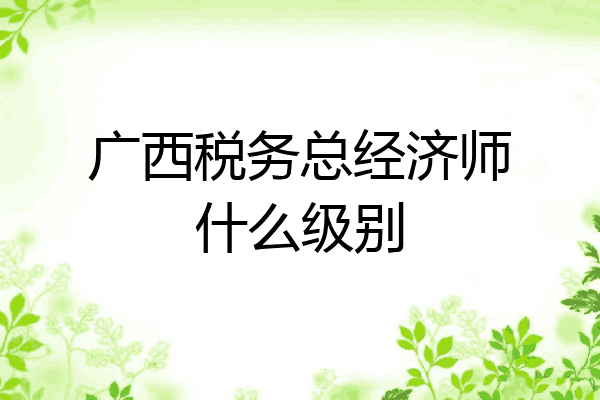 广西税务总经济师什么级别