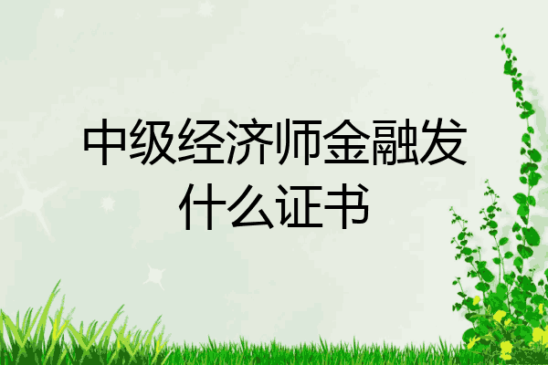 中级经济师金融发什么证书