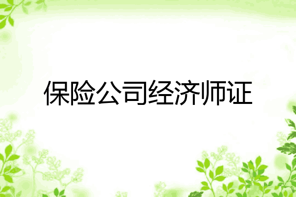 保险公司经济师证