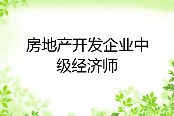 房地产开发企业中级经济师