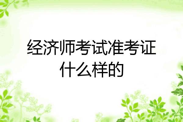 经济师考试准考证什么样的