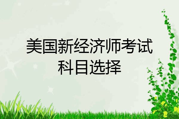 美国新经济师考试科目选择