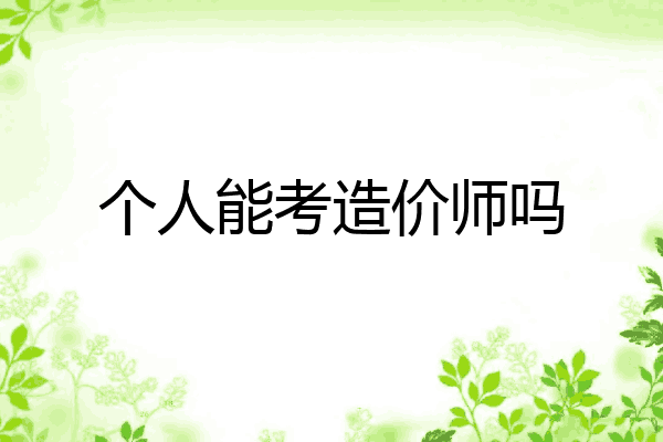 个人能考造价师吗