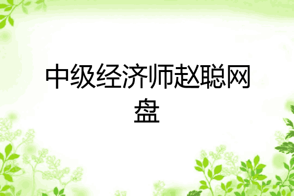 中级经济师赵聪网盘