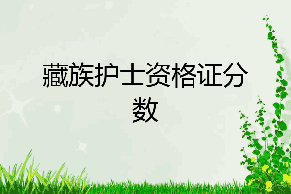 藏族护士资格证分数