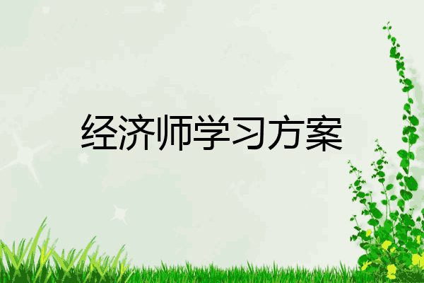 经济师学习方案